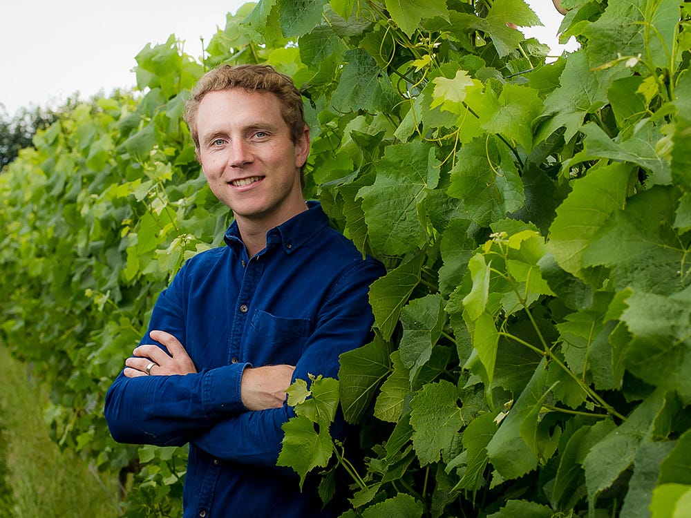 Daniel Ham - Langham Wines