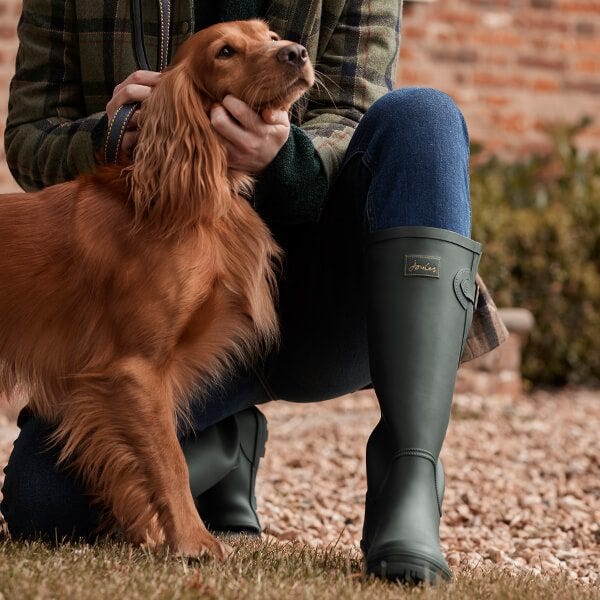 Joules shop labrador wellies