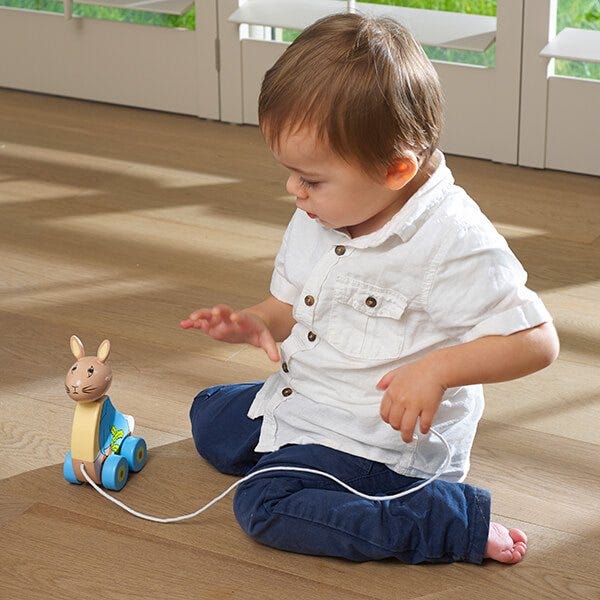 Orange Tree Toys Peter Rabbit