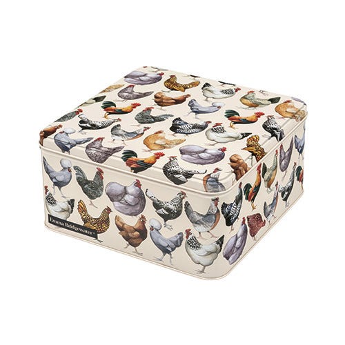 Emma Bridgewater Brighter World Small Rectangular Tin